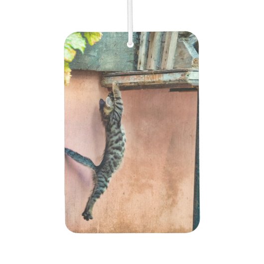 Kitten jumping luchtverfrisser (Voorkant)