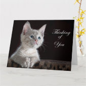 Kitten Kaart (Gele Bloem)