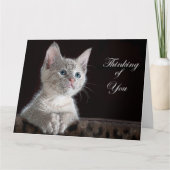 Kitten Kaart (Voorkant)