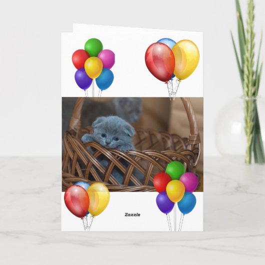 Kitten Kaart (Achterkant)