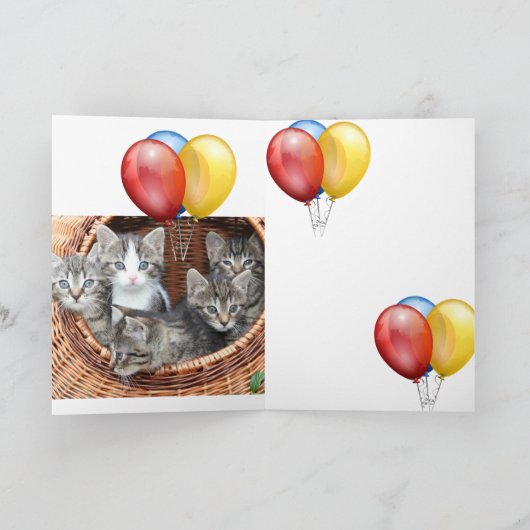 Kitten Kaart (Binnen)