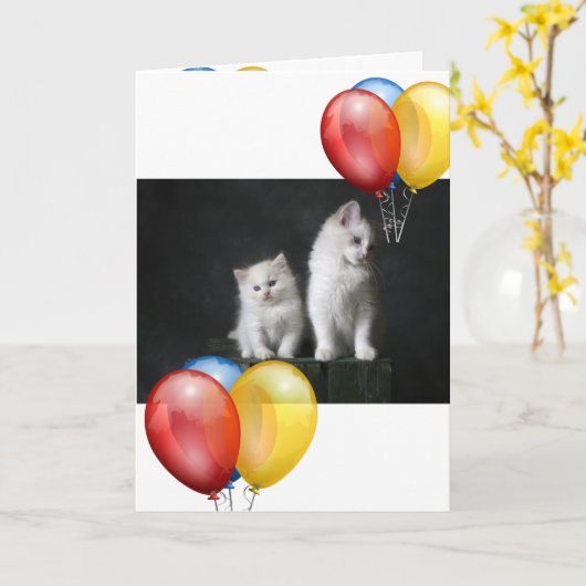 Kitten Kaart (Gele Bloem)