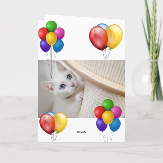 Kitten Kaart (Achterkant)