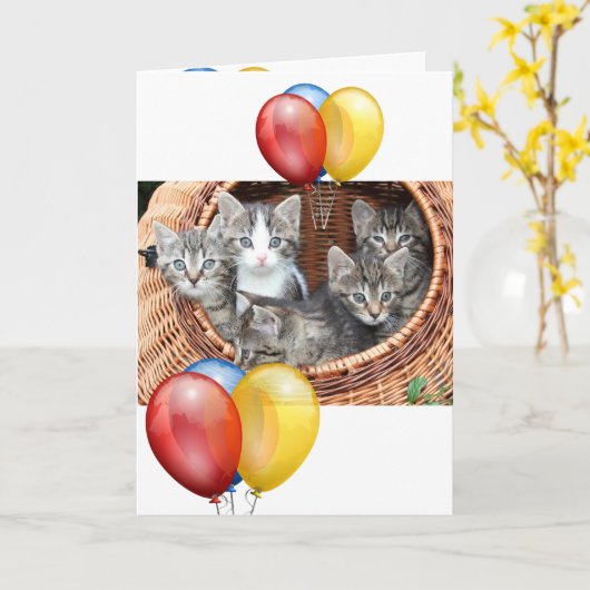 Kitten Kaart (Gele Bloem)