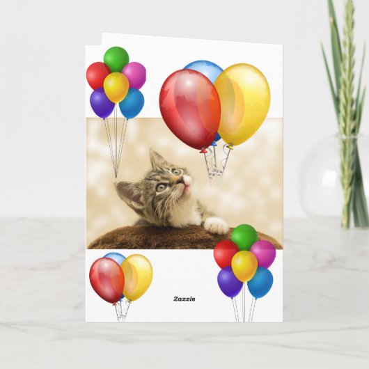 Kitten Kaart (Achterkant)