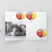 Kitten Kaart (Binnen)