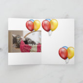 Kitten Kaart (Binnen)