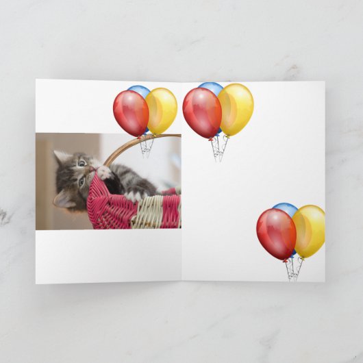 Kitten Kaart (Binnen)