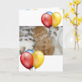 Kitten Kaart (Gele Bloem)