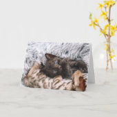 Kitten Kaart (Gele Bloem)