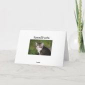 Kitten Kaart (Achterkant)