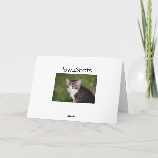 Kitten Kaart (Achterkant)