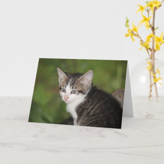 Kitten Kaart (Gele Bloem)