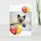 Kitten Kaart (Voorkant)