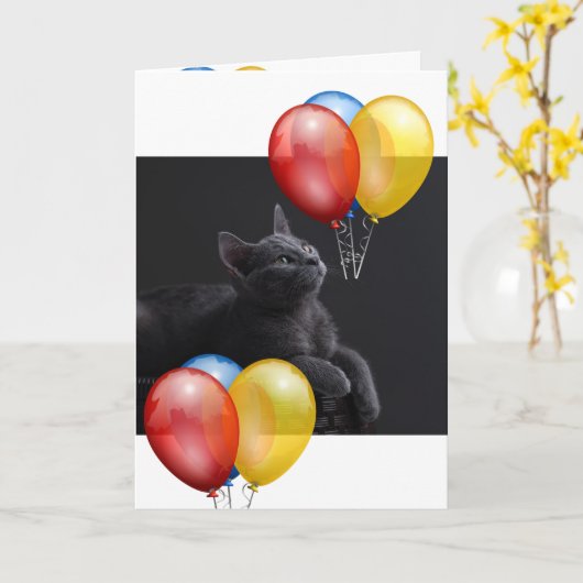 Kitten Kaart (Gele Bloem)