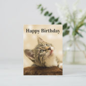 Kitten Kaart Bewerken Titel (Staand voorkant)