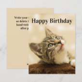 Kitten Kaart Bewerken Titel (Voorkant / Achterkant)