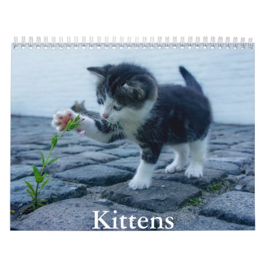 Kitten Kalender (Hoes)