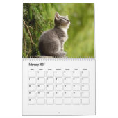 Kitten Kalender (Feb 2027)