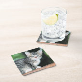 Kitten Kartonnen Onderzetters (Insitu)