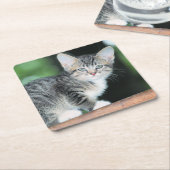 Kitten Kartonnen Onderzetters (Schuin)