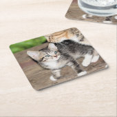 Kitten Kartonnen Onderzetters (Schuin)