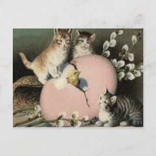 Kitten Kat Paaskuiken Gekleurd Beschilderd Ei Feestdagenkaart