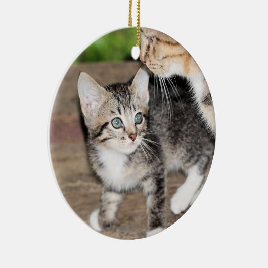 Kitten Keramisch Ornament (Rechts)