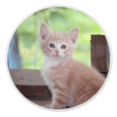 Kitten Keramische Knop (Voorkant)