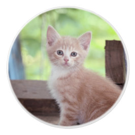 Kitten Keramische Knop