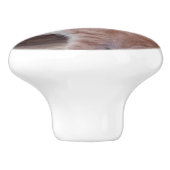 Kitten Keramische Knop (Zijkant)