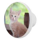 Kitten Keramische Knop (Rechts)