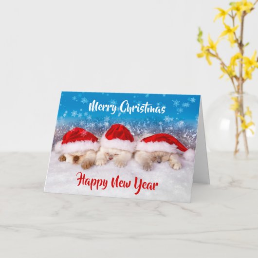 Kitten kerst Kaarten BULK kerst Kaarten of een (Gele Bloem)