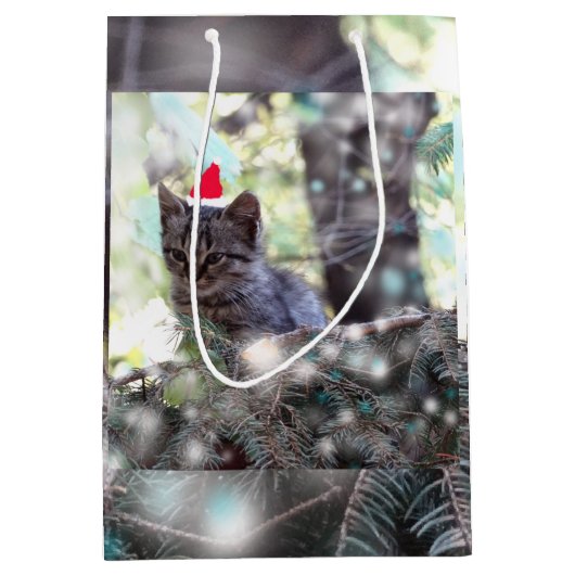 Kitten Kersttijd Gift Bag - Medium, Mat Medium Cadeauzakje (Voorkant)