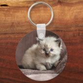 Kitten Keyring Sleutelhanger (Voorkant)
