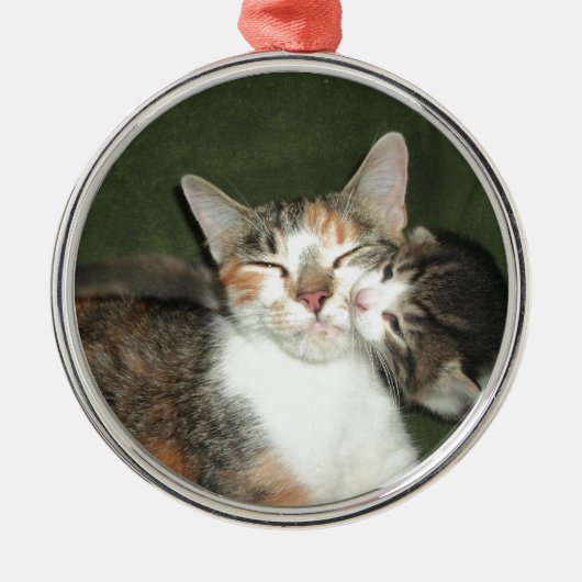 Kitten Kiss Metalen Ornament (Voorkant)