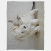 KITTEN KISSING PUPPY FLEECE DEKEN (Voorkant)