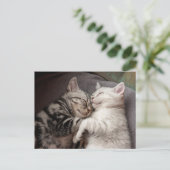 Kitten Kitty Cat Cute Fun Briefkaart (Staand voorkant)
