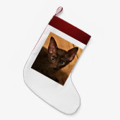 Kitten Kleine Kerstsok (Voorkant (Hangend))
