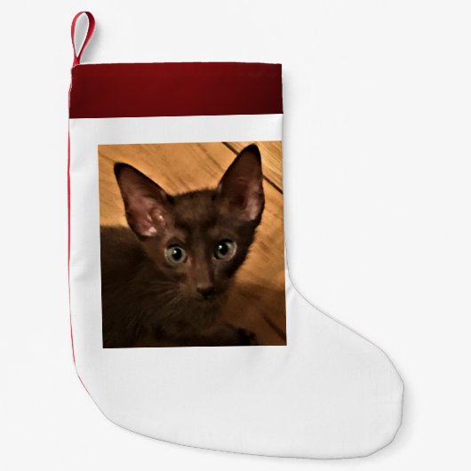 Kitten Kleine Kerstsok (Voorkant)