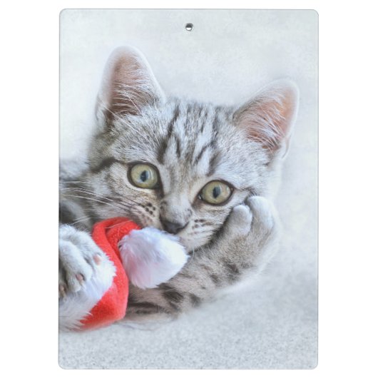 Kitten Klembord (Achterkant)