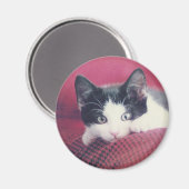 Kitten Koelkast Magnet (Voorkant / Achterkant)