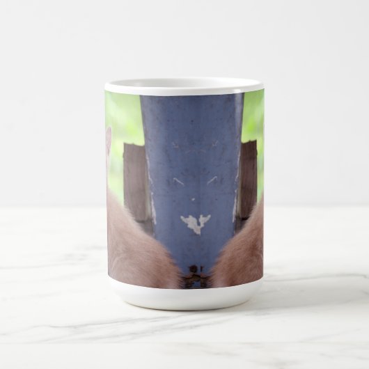 Kitten Koffiemok (Center)