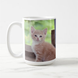 Kitten Koffiemok