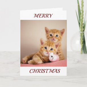 KITTEN KOMEN TEVOORSCHIJN OM *PRETTIG KERSTFEEST* FEESTDAGEN KAART
