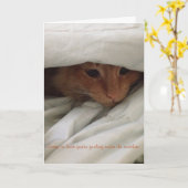 Kitten krijgen een goede kaart (Gele Bloem)