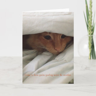 Kitten krijgen een goede kaart