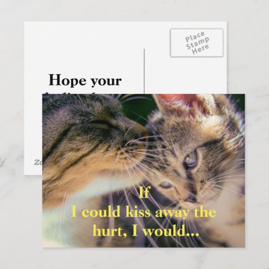 Kitten kus krijgen goed briefkaart (Voorkant / Achterkant)