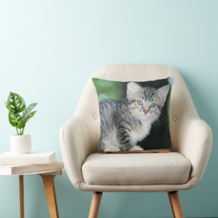 Kitten Kussen