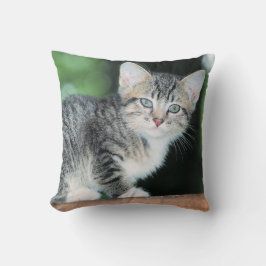 Kitten Kussen